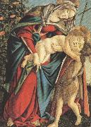 Sandro Botticelli Madonna and Child with the Young St john or Madonna of the Rose Garden (mk36) oil painting artist